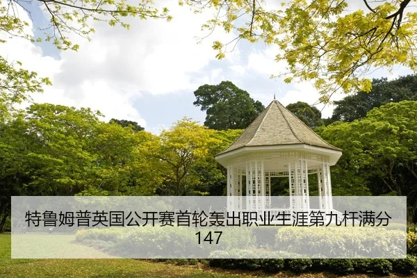 特鲁姆普英国公开赛首轮轰出职业生涯第九杆满分147